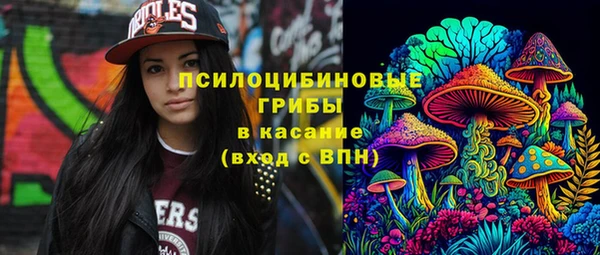 мескалин Гусев