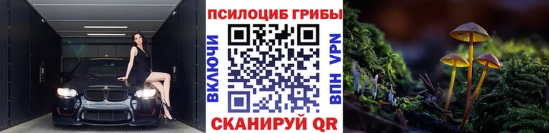 Купить где  Усолье-Сибирское  Галлюциногенные грибы MAGIC MUSHROOMS 